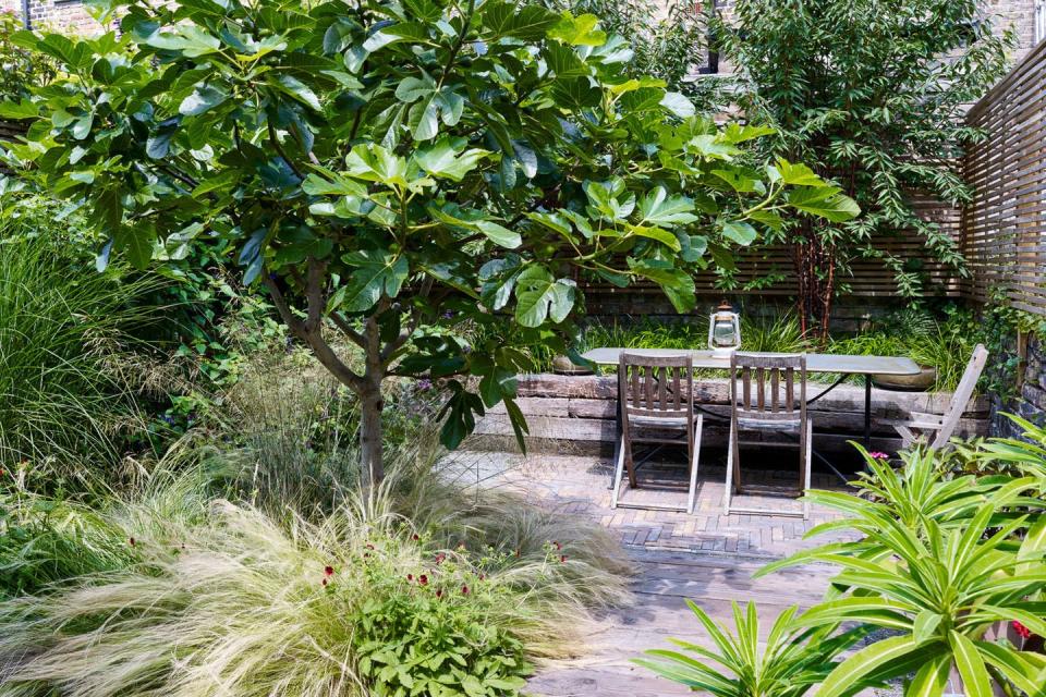 <p>"We have two fig trees which have grown so much over the past two years and provide the most amazing scent on summer evenings,. They also offer some much needed shade on sunny days, making it the perfect spot to sit and read a book."</p>