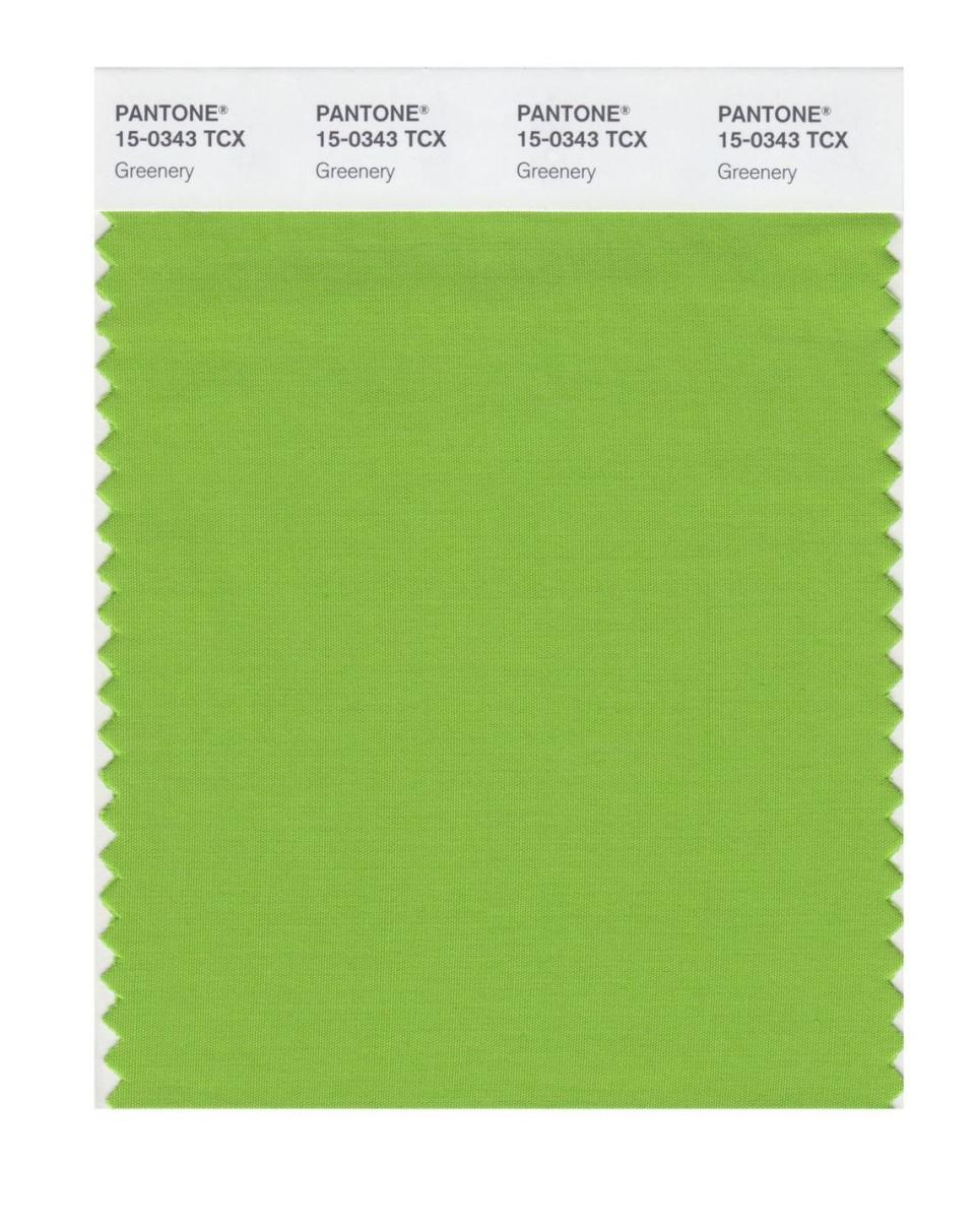 pantone 2017 color of the year