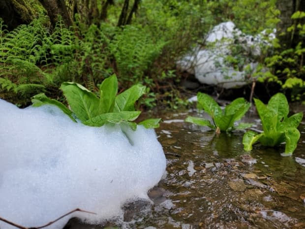 Some residents are worried the foam will harm the local environment.