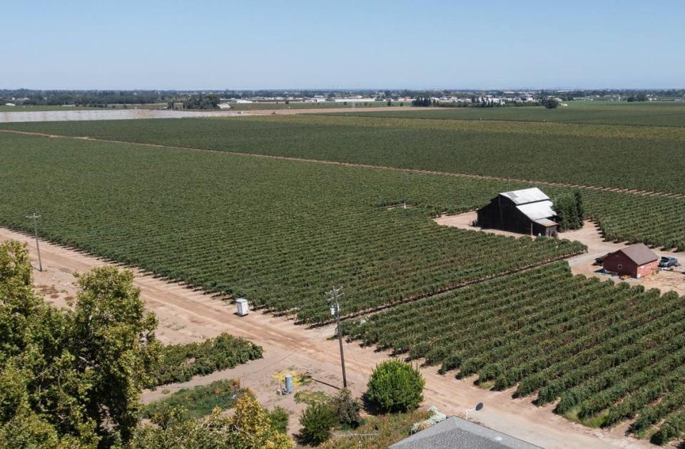 First-time skydiver Tyler Turner and his tandem instructor Yong Kwon died in a grape vineyard near the Lodi Airport after a 2016 jump. Turner’s parents won a $40 million lawsuit related to the incident.