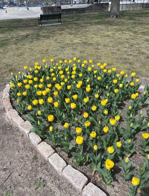 The QR code on the Hope Garden sign in Livesey Park in Fairhaven in honor of Trevor Viera connects to The Yellow Tulip Project and its message of hope.