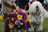 The 145th Westminster Kennel Club Dog Show at Lyndhurst Mansion in Tarrytown, New York