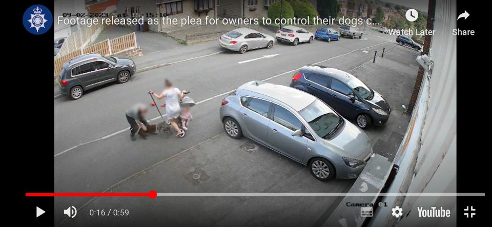 Das Video zeigt eine Frau, die ihr Baby und ihr Haustier vor einem Angriff eines Staffys auf der Richmond Road in Sheffield schützt.  Bild aus einem Video der Polizei von South Yorkshire