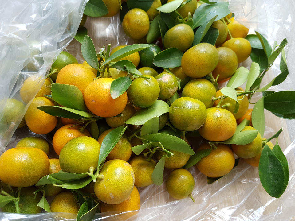 Fresh calamansi with leaves, partially in a plastic bag