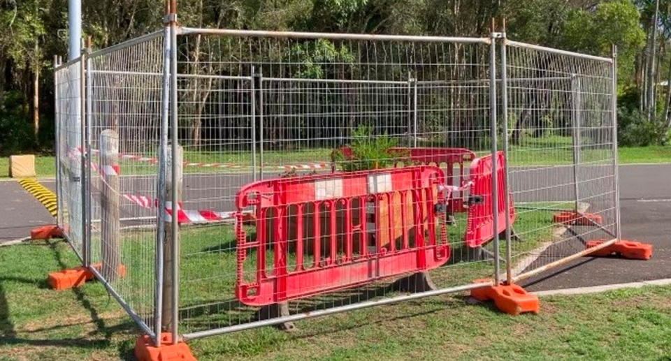 A fence and red barricades close off a garden bed where fire ants were found.