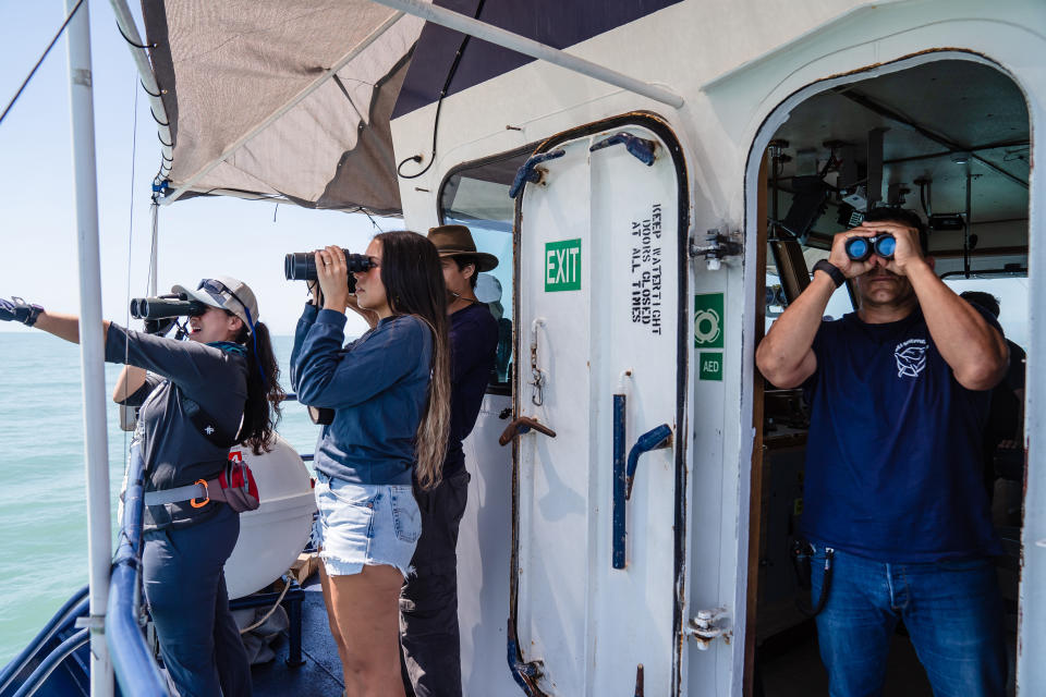 Integrantes del equipo de reconocimiento retiraron el equipo de sonido que se utilizó para detectar los sonidos de ecolocalización de la vaquita marina y delfines. Ariana Drehsler/The New York Times