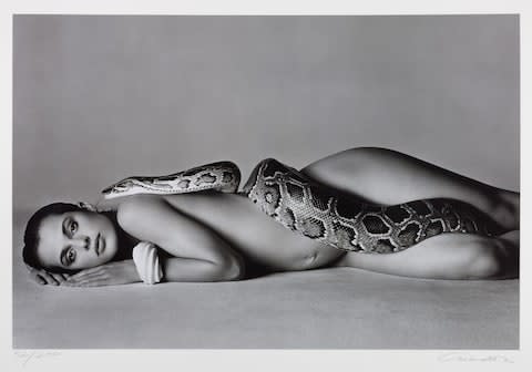 Richard Avedon, Nastassja Kinski and the Serpent  - Credit: Courtesy of Sotheby's