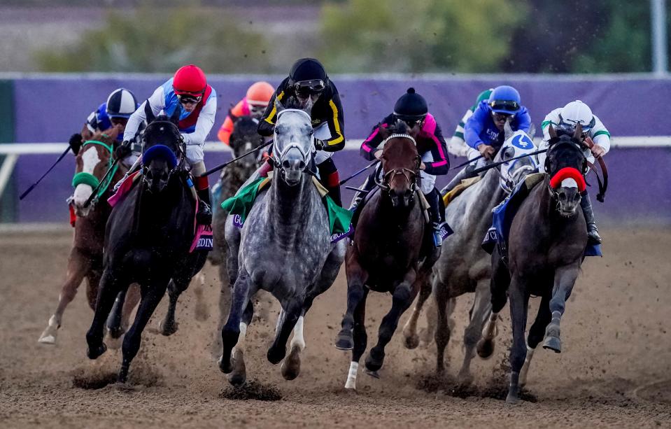 A VIP experience at the 2024 Breeders’ Cup comprises half of auction lot 13.