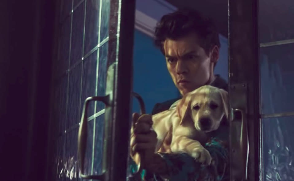 Don’t worry about the puppies in Harry Styles’ “Kiwi” video — those were all dog cupcakes, and none of them had chocolate