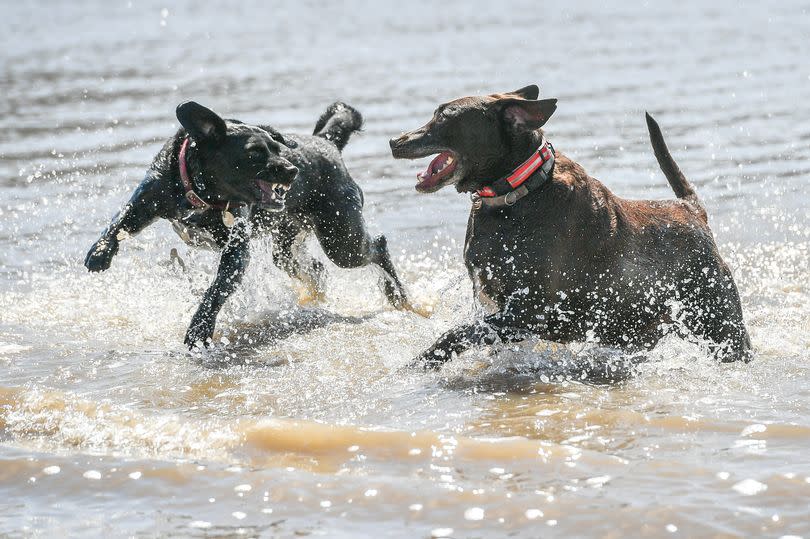 Britain is set to see warmer temperatures next week