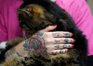 A veterinarian assistant holds a cat at the Wild Rose Cat clinic that uses a new app called Tably that reads cat's faces and helps monitor a cat's health in Calgary