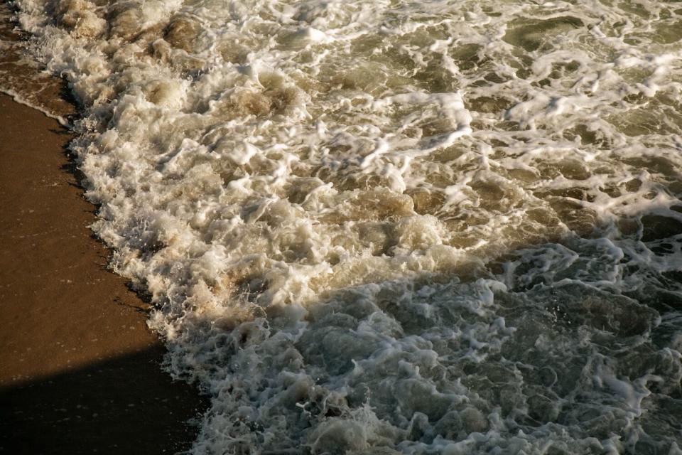 Waves at Venice Beach