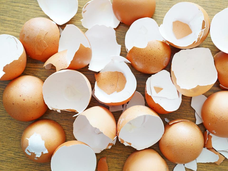 eggshells