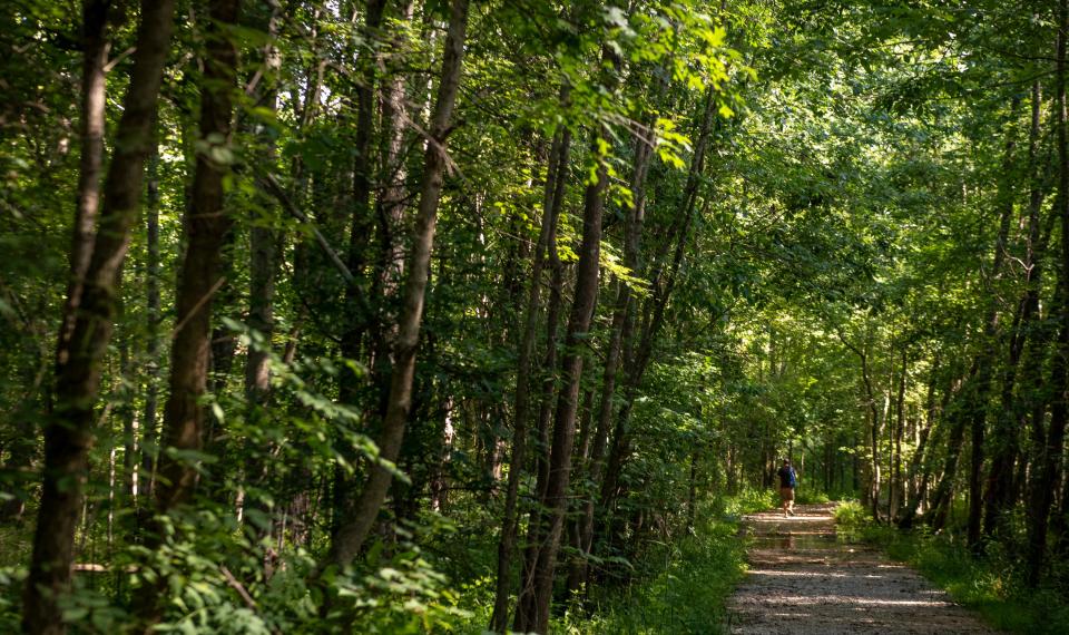 A hiker walks the trail to the boardwalk July 25, 2020, at the Beanblossom Bottoms Nature Preserve.