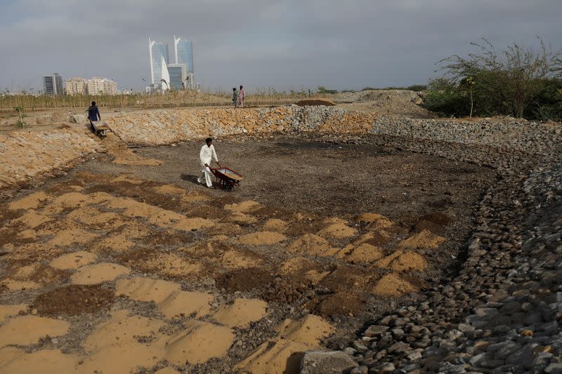 The Wider Image: Pakistanis plant trees to provide relief from scorching sun