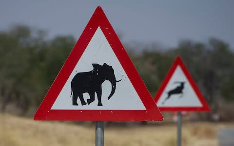 Elephant warning signs on the road in the Chobe Enclave - Credit: Eddie Mulholland&nbsp;