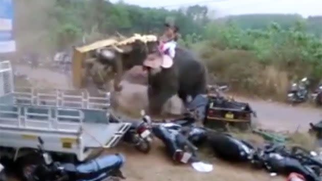 The elephant picks up motorbikes and mini trucks as though they are toys and flings them across the street. Photo: YouTube