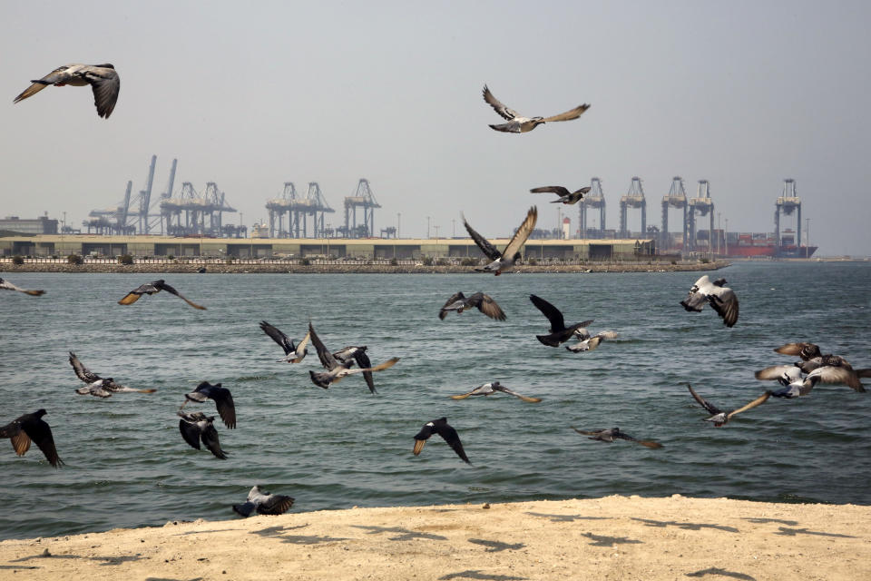 Seagulls fly in front of the Red Sea port city of Jiddah, Saudi Arabia, Friday, Oct. 11, 2019. Iranian officials say two missiles struck an Iranian tanker traveling through the Red Sea off the coast of Saudi Arabia. (AP Photo/Amr Nabil)