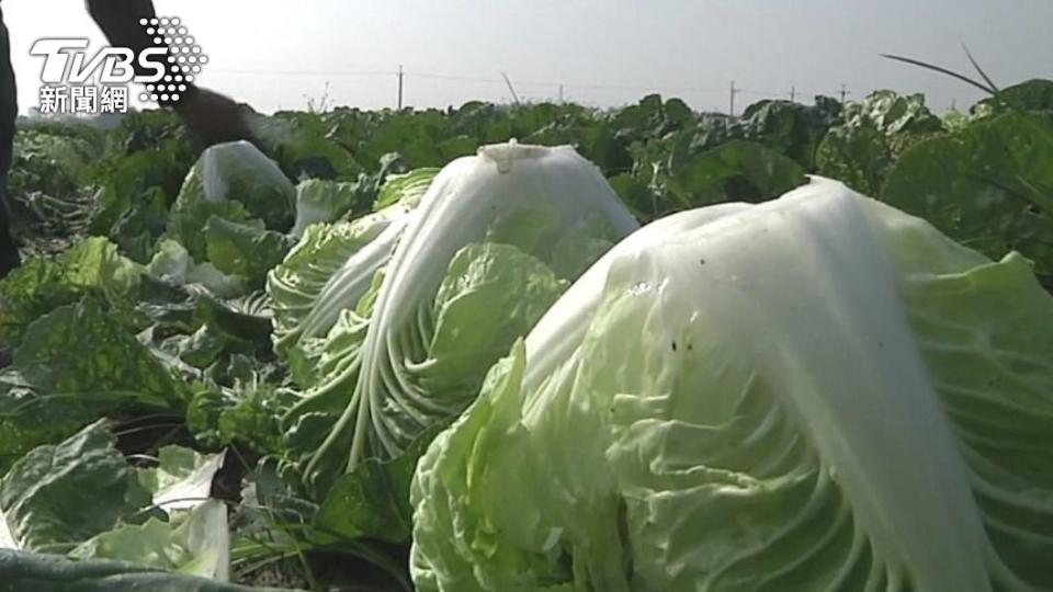 疫情升溫，影響蔬菜供應。（示意圖／TVBS）