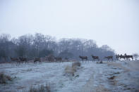 Deer roam a frost-covered Richmond Park, south-west London, during a cold start to the day in the capital. (PA Images via Getty Images)