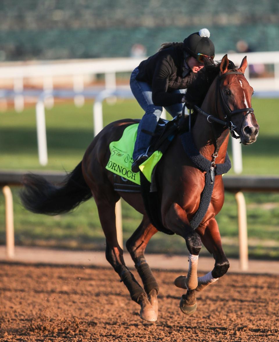 Kentucky Derby contender Dornoch works at Churchill Downs in Louisville, Ky. April 25, 2024. The horse is trained by Louisvillian Danny Gargan.