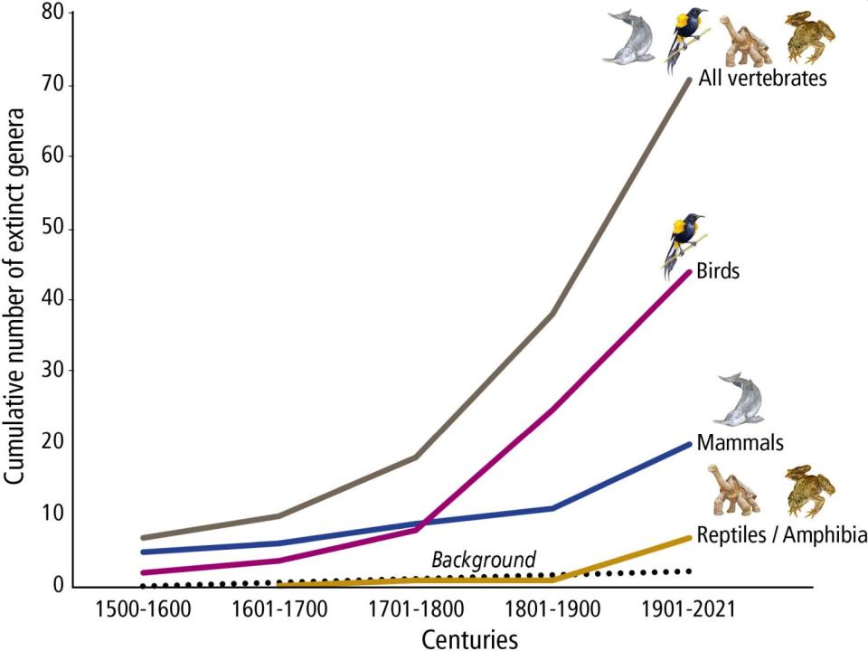 Número de extinciones genéricas por siglo entre diferentes clases de vertebrados. El bajo número de reptiles y anfibios, que subestima la magnitud del patrón de extinción, es probablemente el resultado de la falta de información en siglos anteriores, donde se habían descrito muy pocas especies. La línea de puntos representa la tasa de extinción de fondo | Ceballos, Gerardo, Paul R. Ehrlich, PNAS (2023)