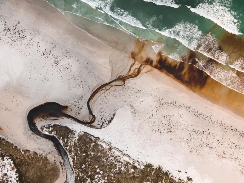 Whales are seen stranded on the beach in Chatham Islands