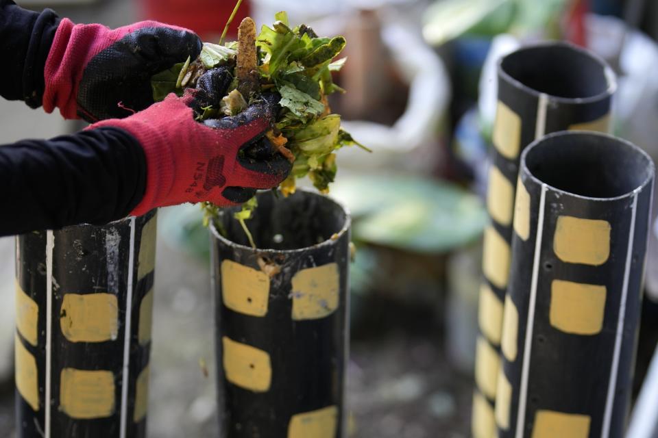 A worker places organic waste inside tubes as they process them at a recycling facility in Malabon, Philippines on Monday Feb. 13, 2023. Food waste emits methane as it breaks down and rots. Waste pickers are helping set up systems to segregate and collect organic waste, and establishing facilities to compost it. (AP Photo/Aaron Favila)