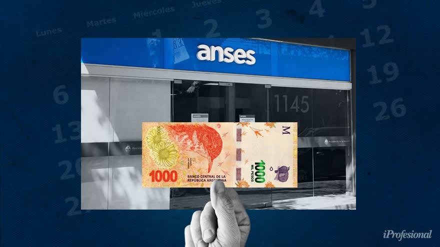 Cómo ver mis aportes en la ANSES y saber si me los pagan