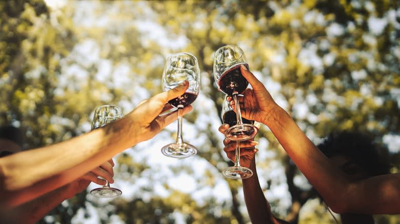 friends cheering wine glasses outside