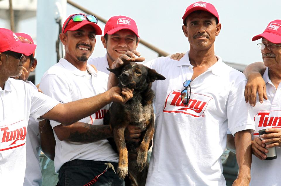 Tim Shaddock's dog, Bella, and members of the tuna trawler following her rescue.