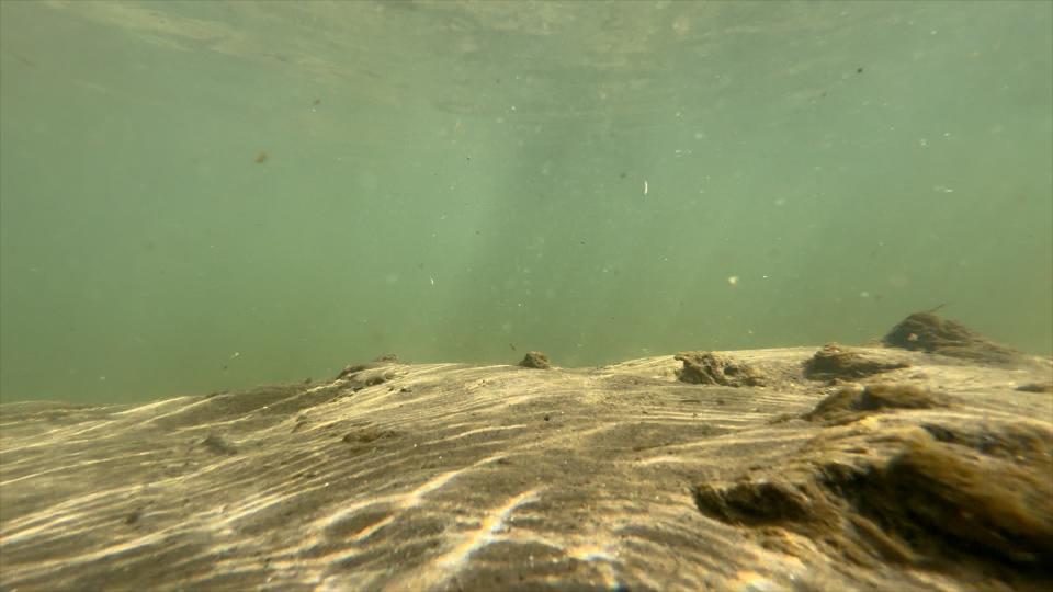 View underwater in a lake