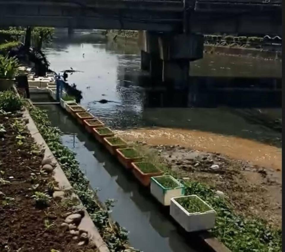 竹北豆子埔溪成黃河，環保局追查又是建商亂排廢。（圖：朱健銘議員提供）