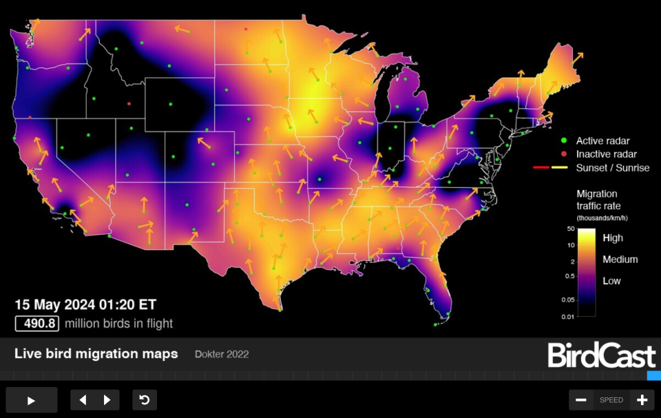 BirdCast estimated 490.8 million birds were in flight over the U.S. in the early hours of May 15.