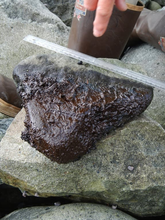 Scientists measure oil on small stones between boulders on beaches in the Gulf of Alaska. The rocky, high-energy coastlines southwest of the 1989 Exxon Valdez oil spill contain small remnants of the spill which appear to be protected by a stabl