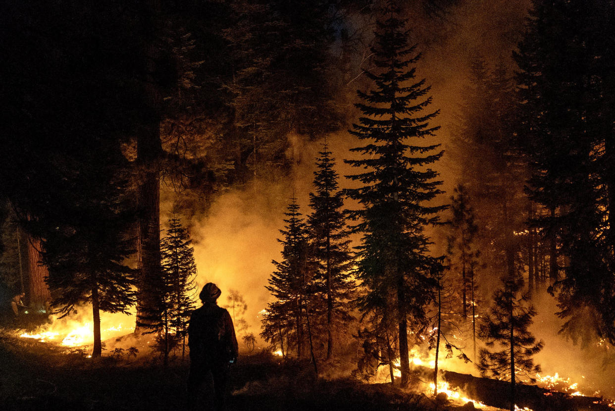 A firefighter faces the Donnell Fire in California's Stanislaus National Forest, August 12, 2018. Cecilio Ricardo / U.S. Forest Service