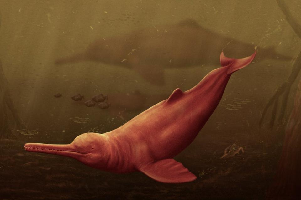 The Pebanista yacuruna is thought to have been 3 to 3.5 meters long (Jamie Bran)