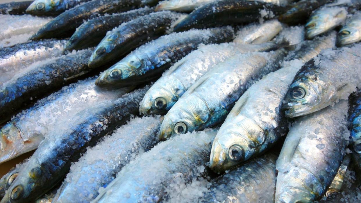 <a href="https://www.shutterstock.com/es/image-photo/sardines-street-during-saint-anthony-feast-1105744652" rel="nofollow noopener" target="_blank" data-ylk="slk:Shutterstock / Jose y yo Estudio;elm:context_link;itc:0;sec:content-canvas" class="link ">Shutterstock / Jose y yo Estudio</a>