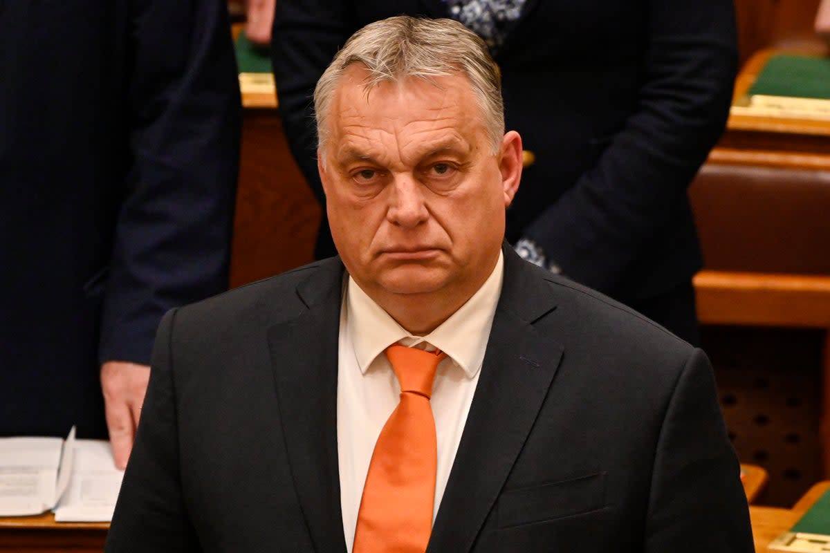 Orban passed the controversial law in 2021, which has been condemned by the EU (AP)
