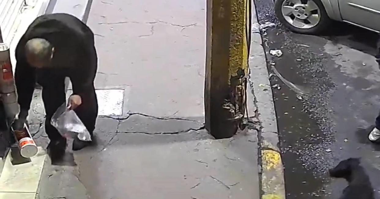 El colmo: sujeto espanta a un perro de comedero callejero para robarse las croquetas. Foto: Captura de video X vía @RuidoEnLaRed