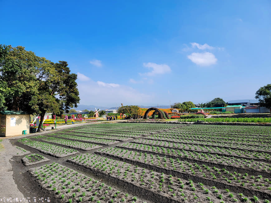 台中后里｜中社觀光花市