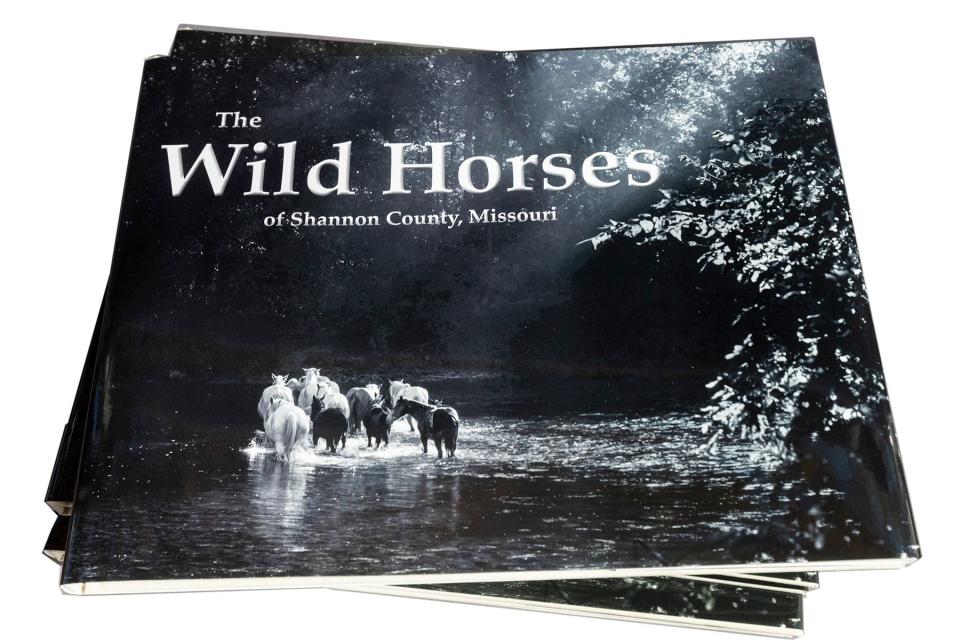 "The Wild Horses of Shannon County, Missouri" is a hardcover coffee table book by former News-Leader photo editor Dean Curtis that documents the wild herds of the Ozarks.