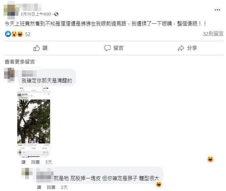 2週前有一名桃園男目擊到狒狒，PO上臉書後卻沒人信。（翻攝臉書）