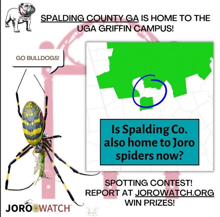 UGA is encouraging people to report the Joro spider on its Jorowatch.org site.