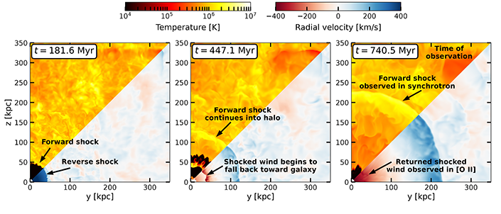 Simulation of supernova-driven winds in starburst galaxies