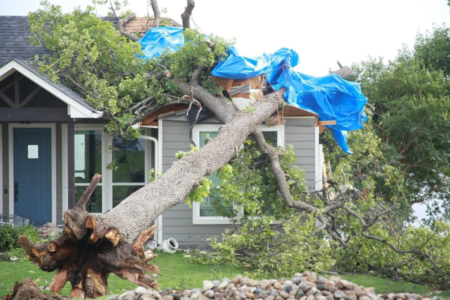 Storm damage in Coffee City