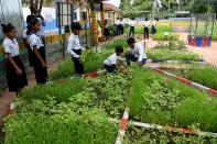 <p>En varios colegios de Siem Reap están llevando a cabo un programa para instalar huertos escolares en los que son los propios alumnos los que se encargan de cultivar los alimentos. (Foto: Tang Chhin Sothy / AFP / Getty Images).</p> 