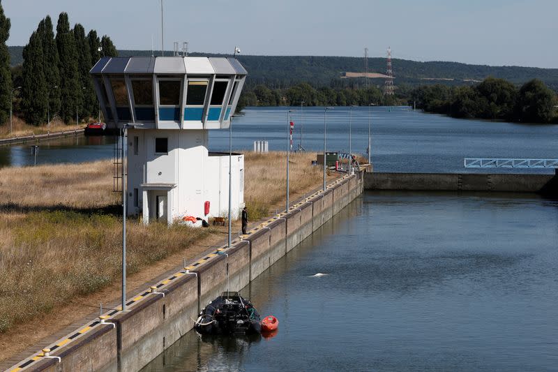 Beluga whale strayed into France's Seine river