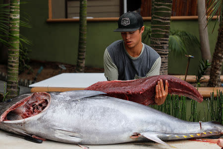 Ryder Devoe, 19, cleans and filets the 200-pound Pacific bluefin tuna he spearfished off the coast of San Diego, California, U.S. September 6, 2018. REUTERS/Mike Blake