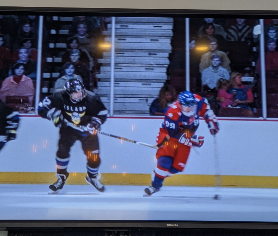 cardboard cutouts on the ice